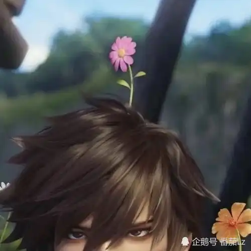 王者蔡文姬澜id合集