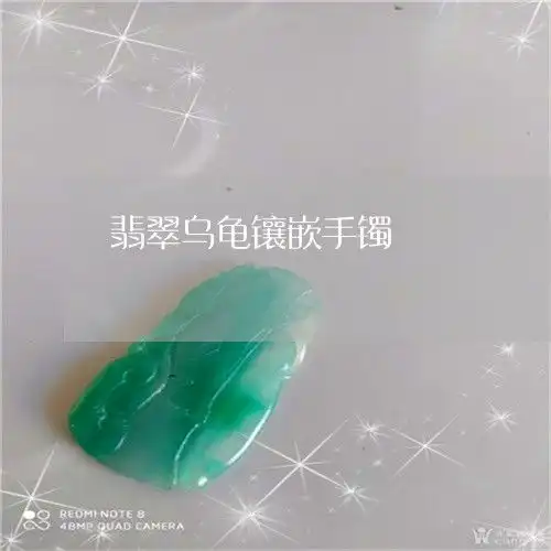 出事了翡翠乌龟镶嵌手镯翡翠乌龟雕刻图片大全今日更新实时2023已更新翡翠栏目