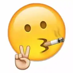 大学专业cp,你和哪个专业的ta最登对