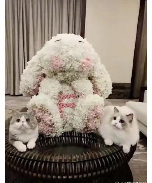 兔子什么都知道除了张继科景甜,娱乐圈以兔子定情的情侣真不少
