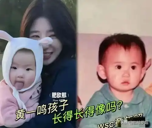 王思聪爱女事件又出新消息,知情人爆内幕,这次小王真的喜当爹