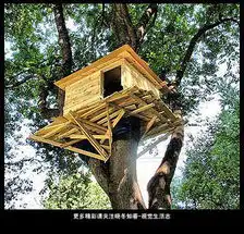 最近的纽约麦迪逊广场花园颇有海角乐园来自晓冬知春的图片分享