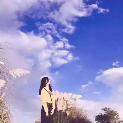 测试一个超长简介的文章