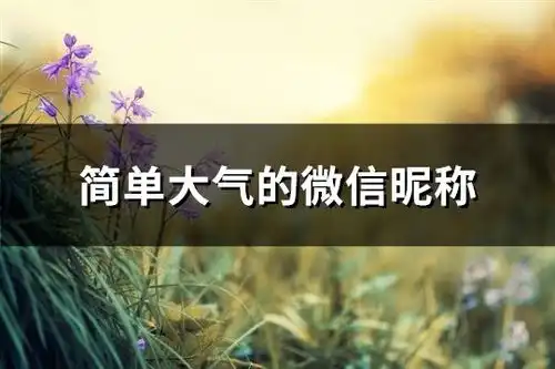 简单大气的微信昵称共628个