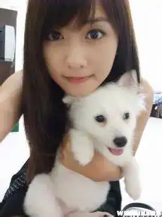 测试一个超长简介的文章