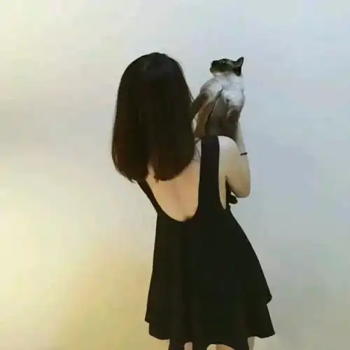 有什么好看的猫的情侣头像
