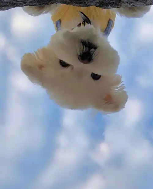 编剧,编剧网中国国际剧本网