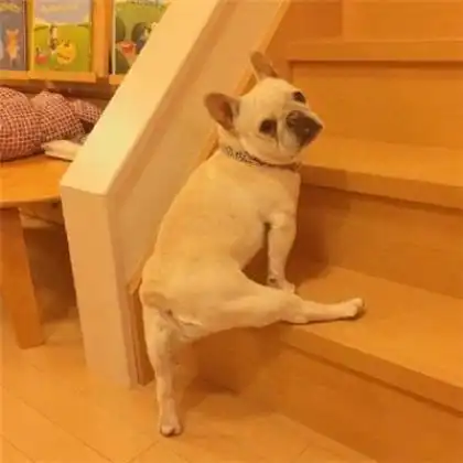 可爱卡通情侣头像超萌一对,在乎和你有关的时光