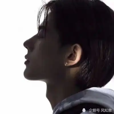测试一个超长简介的文章