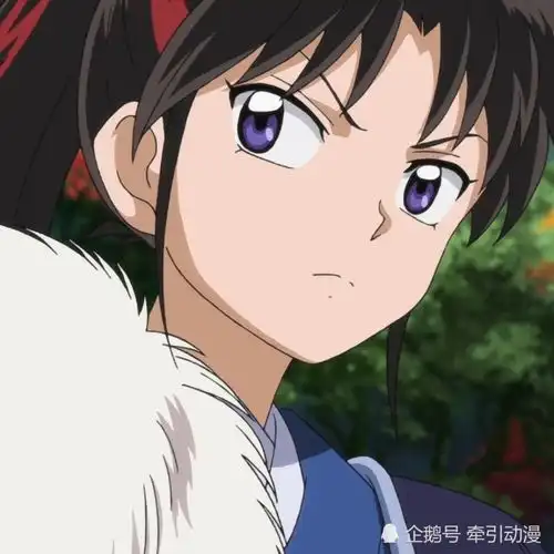 犹豫寡断的姐姐与冷酷别扭的妹妹半妖的夜叉姬杀生丸的两个女儿