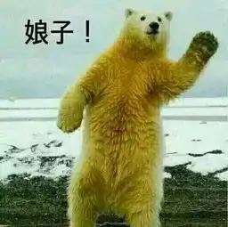 拥有什么简介拥有什么背景介绍yy官方