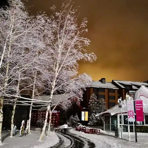 给您6个理由,入手一张松花湖度假区夜场季卡