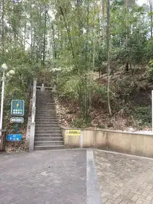 常平旗岭公园吉利车主热爱大自然分享