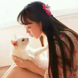测试一个超长简介的文章