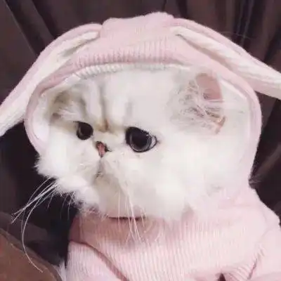 有哪些些让女生崩溃的瞬间