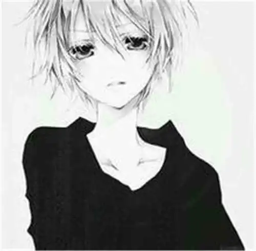fate全能系统主角介绍