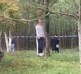 测试一个超长简介的文章