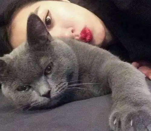猫咪更喜欢女性而不是男性,秘密竟在于女性的身体