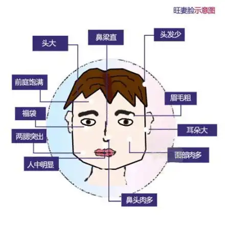 测试一个超长简介的文章