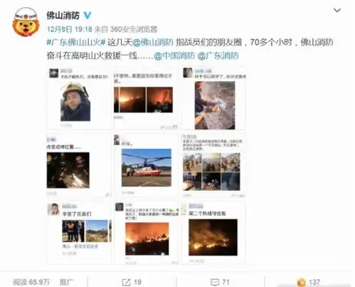 又一起情侣山顶点烟花拍照引发山火,200多人扑救2小时