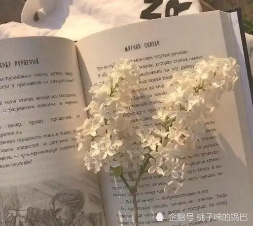 誉为最会情诗的诗人纳兰容若的绝美情诗合集