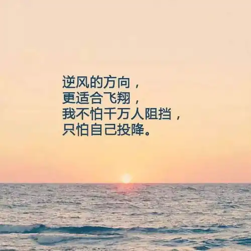 第二章主食的故事1