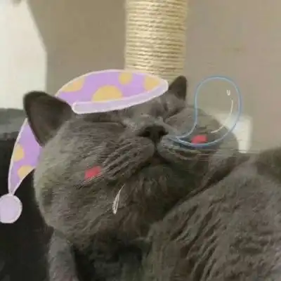 测试一个超长简介的文章