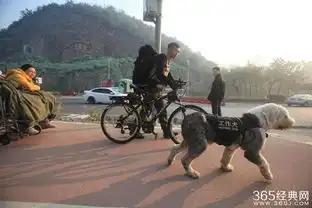 广西小伙为爱旅行携重病女友周游全国