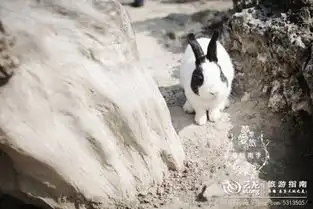 从北到南横扫台湾美食美景,不一样的情侣旅拍之旅恋恋不忘的垦丁