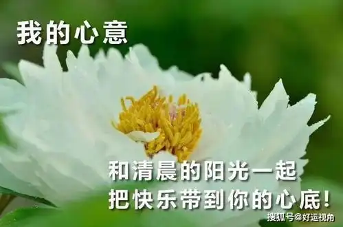 微信头像阳光正能量水