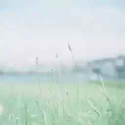 挽回爱情,如何控制自己不去联系,不痛苦