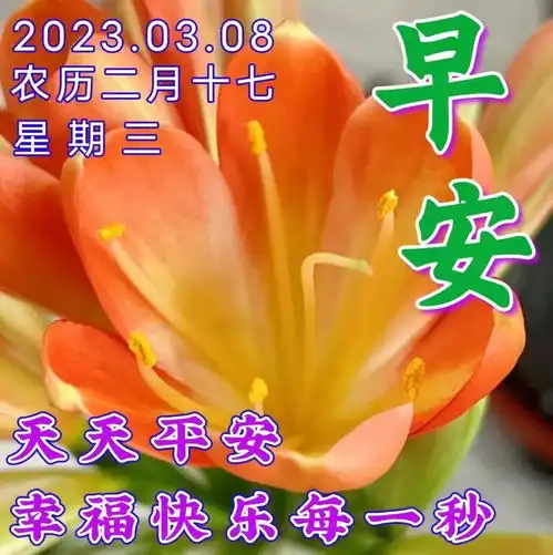 3月8日妇女节最美祝福图片