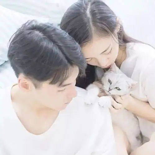 测试一个超长简介的文章