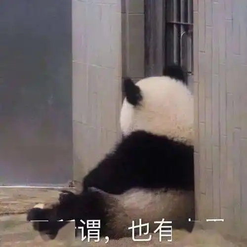 双十二嗨起来应用全线特惠,真香