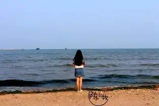 春风十里记录喧嚣以前一片安静的海