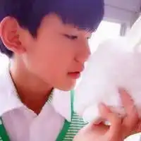 测试一个超长简介的文章