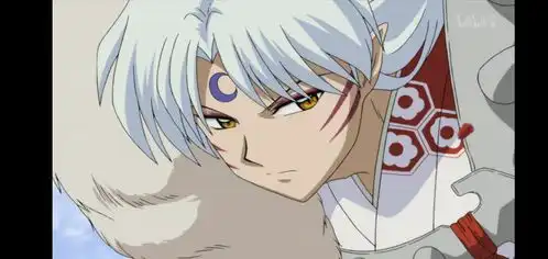 杀生丸有官配吗