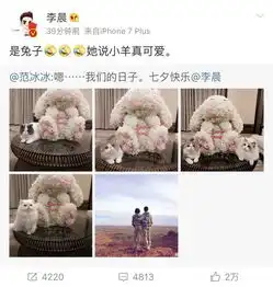 七夕撒狗粮的明星潘玮柏吴昕高调公开王思聪力挺真爱
