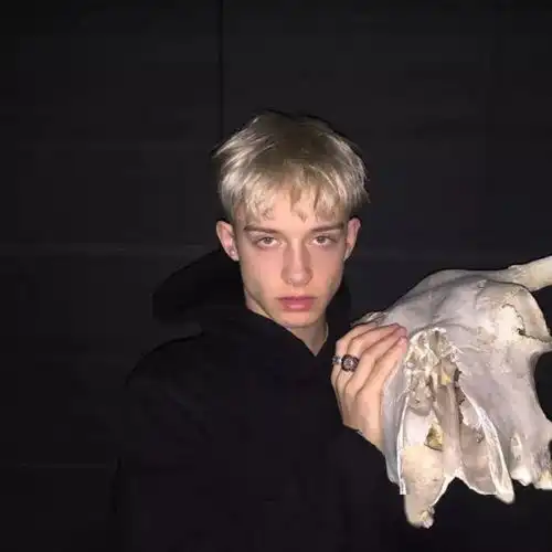 精选火爆抖音的100张头像,手绘插画复古港风欧美清新文艺唯美古风5大系列等着你来换