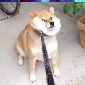 沙雕情侣头像