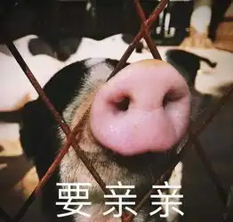 精致的猪猪女孩什么意思今天也是精致的猪猪女孩图片