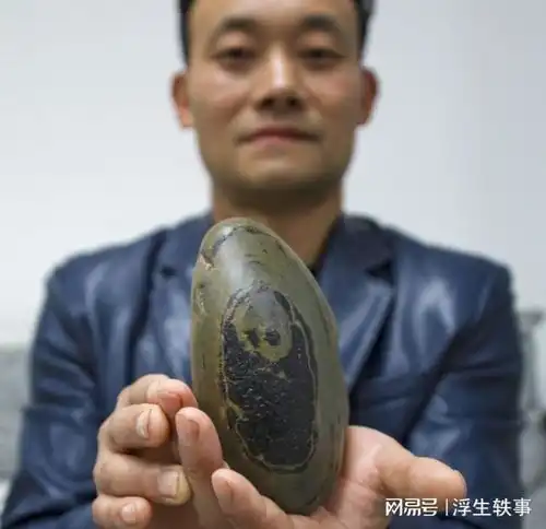 青岛男子捡到熊猫奇石,出价到百万也不卖,专家鉴定估价1.5亿