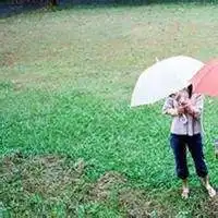 测试一个超长简介的文章