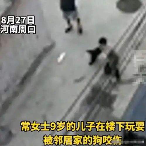 9岁男孩被男子恶意放狗扑咬事后拒绝赔偿,男孩妈妈维权遭辱骂