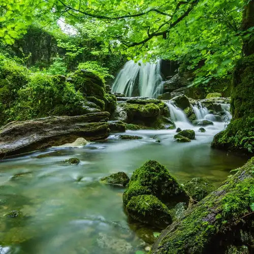 staystrongnaturesoundsalphabrainwavesdeepsleep高音质在线试听staystrong歌词歌曲下载酷狗音乐