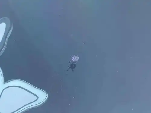 全部下架