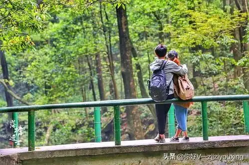 张家界二日游,张家界二日游最佳路线张家界品质小团