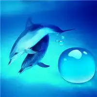 深蓝色头像小海豚微信头像图片大全