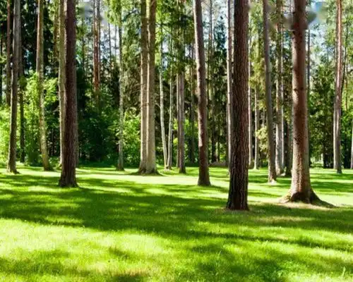 测试一个超长简介的文章