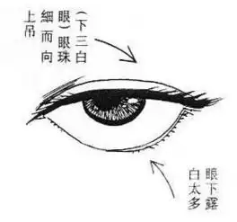 榨干男人钱财的恶女面相